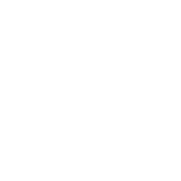 ce logo Good Year