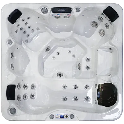 Avalon EC-849L hot tubs for sale in Good Year